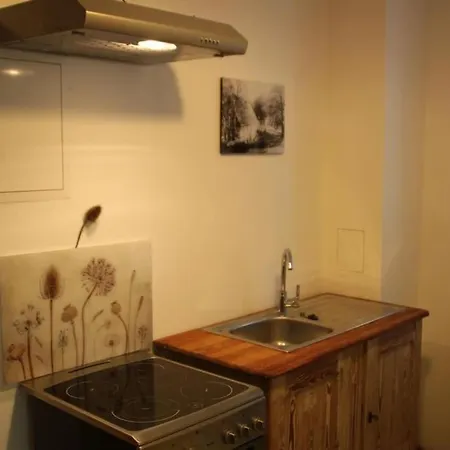 Apartment Hofmuehle Pfaffroda-ferienwohnung Am Muehlbach Olbernhau